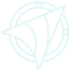 transpartent-aipc-logo